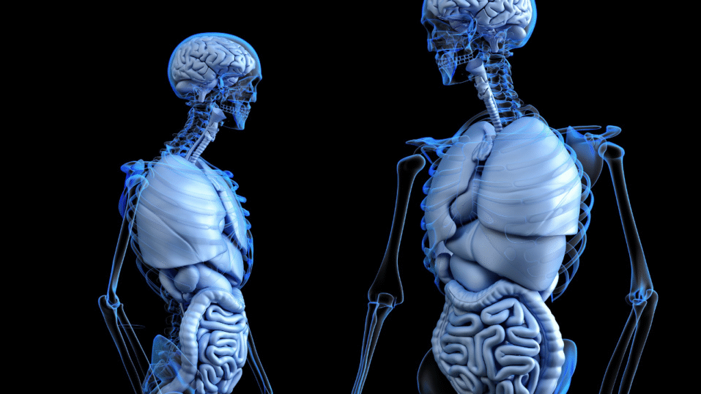 10 Incredible Human Body Facts You Won’t Believe Are True