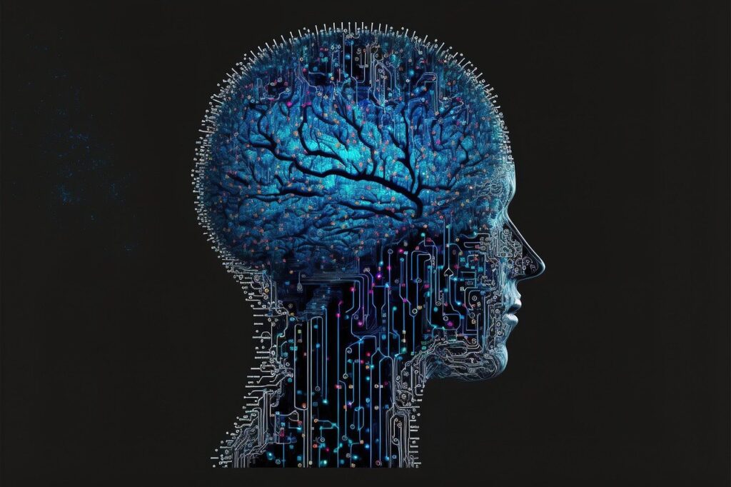 brain
